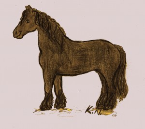 Obrazek